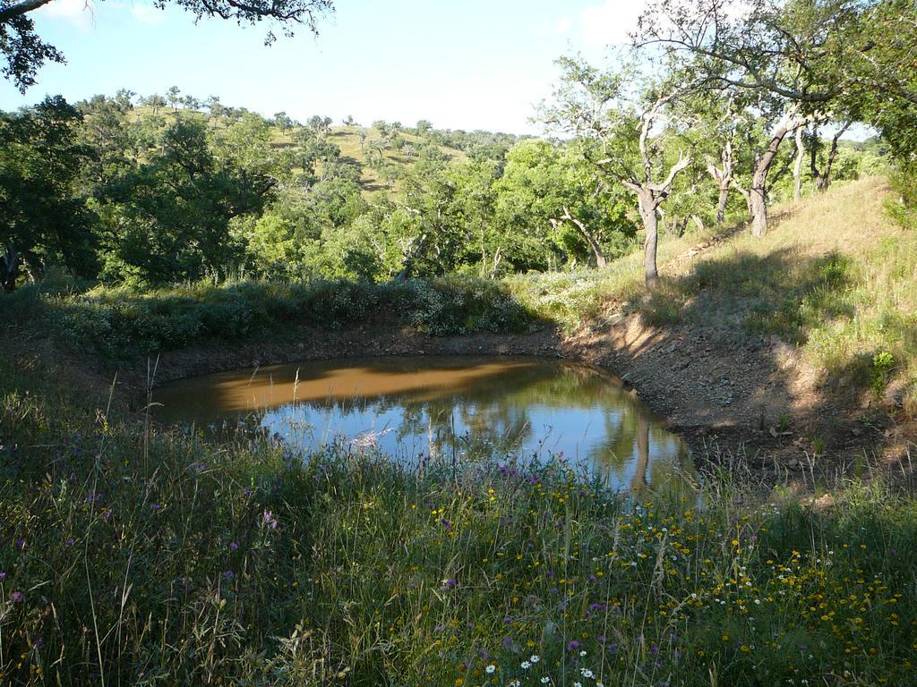 Monte Da Ameira Roncão 외부 사진
